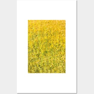 Texture - Golden Grass Posters and Art